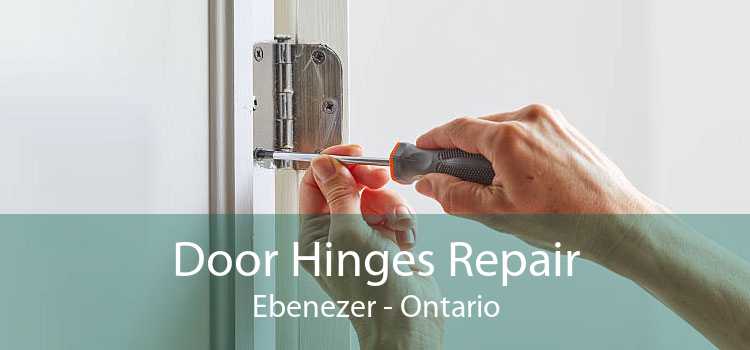 Door Hinges Repair Ebenezer - Ontario