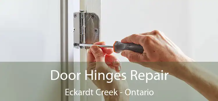 Door Hinges Repair Eckardt Creek - Ontario