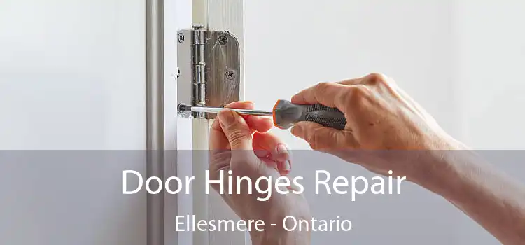 Door Hinges Repair Ellesmere - Ontario