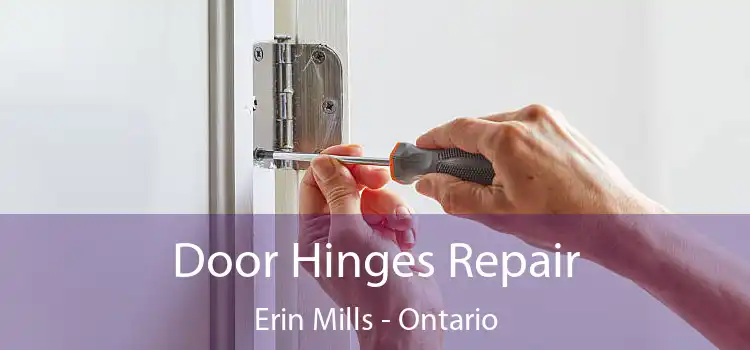 Door Hinges Repair Erin Mills - Ontario