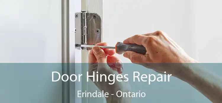 Door Hinges Repair Erindale - Ontario