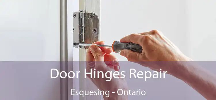 Door Hinges Repair Esquesing - Ontario