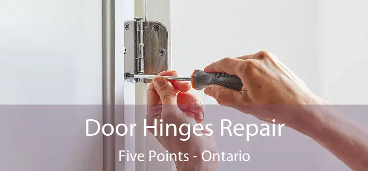 Door Hinges Repair Five Points - Ontario