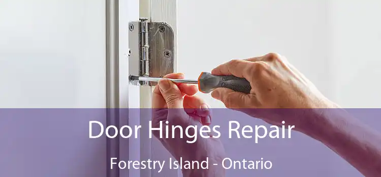 Door Hinges Repair Forestry Island - Ontario