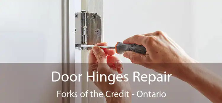 Door Hinges Repair Forks of the Credit - Ontario