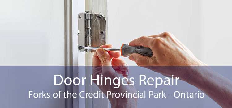 Door Hinges Repair Forks of the Credit Provincial Park - Ontario