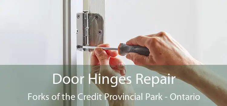 Door Hinges Repair Forks of the Credit Provincial Park - Ontario