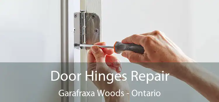 Door Hinges Repair Garafraxa Woods - Ontario
