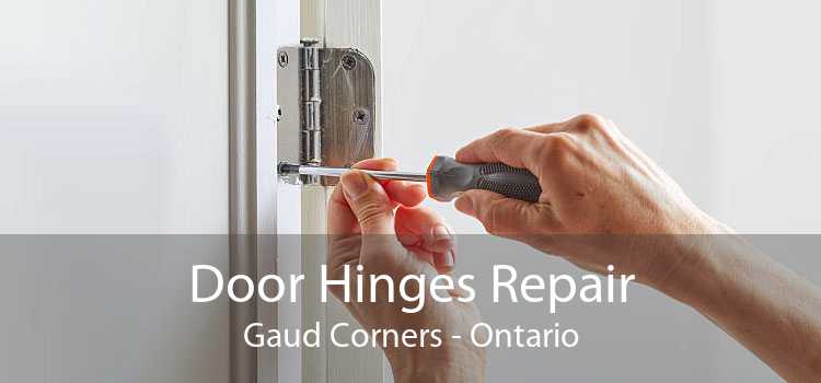Door Hinges Repair Gaud Corners - Ontario