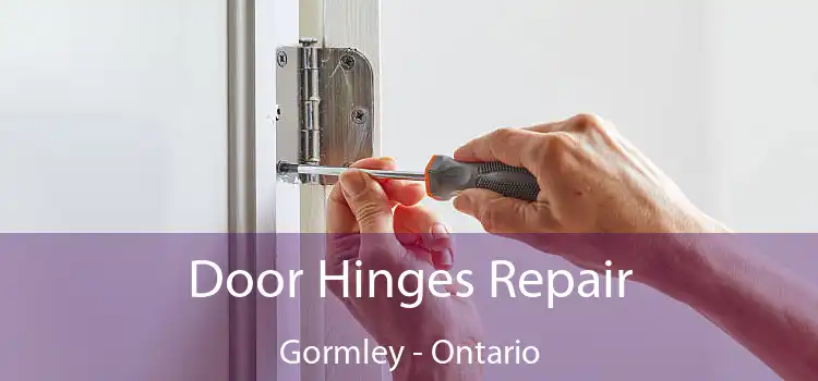 Door Hinges Repair Gormley - Ontario