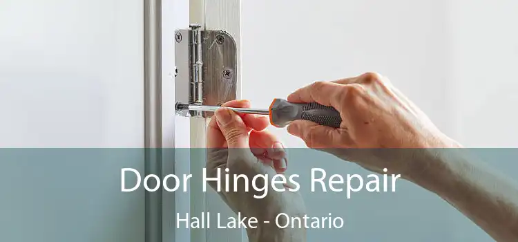 Door Hinges Repair Hall Lake - Ontario