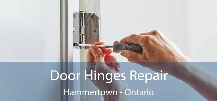 Door Hinges Repair Hammertown - Ontario