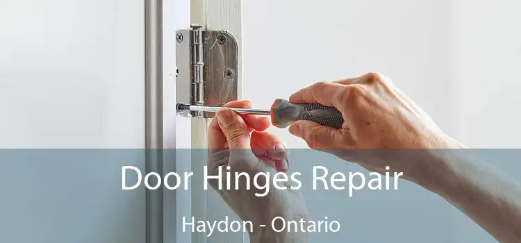 Door Hinges Repair Haydon - Ontario