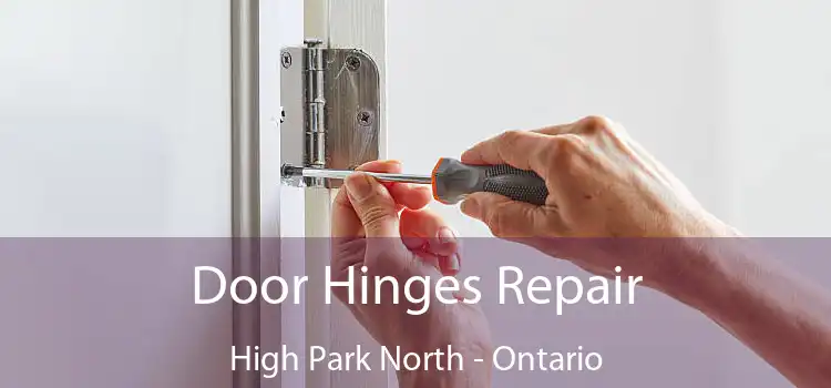 Door Hinges Repair High Park North - Ontario
