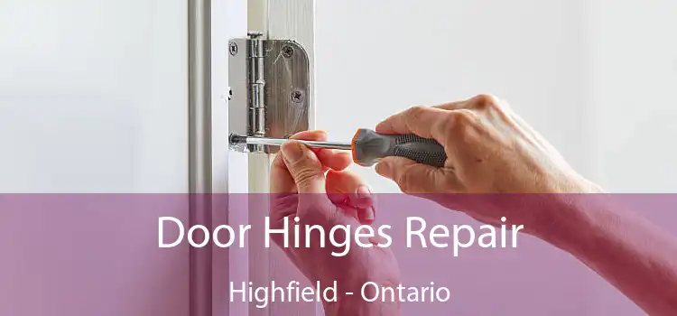 Door Hinges Repair Highfield - Ontario