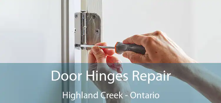 Door Hinges Repair Highland Creek - Ontario