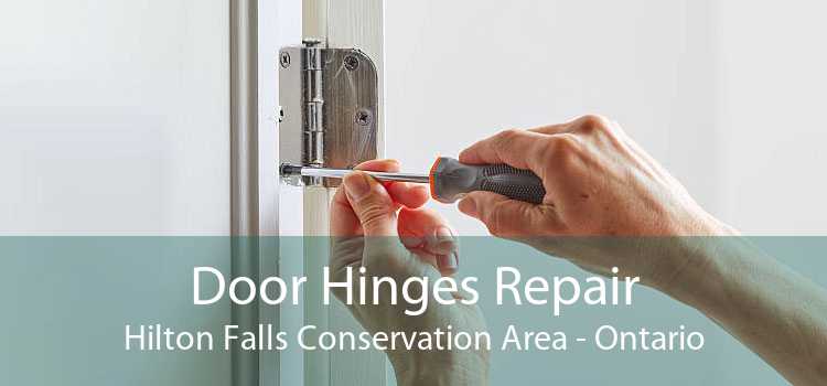 Door Hinges Repair Hilton Falls Conservation Area - Ontario