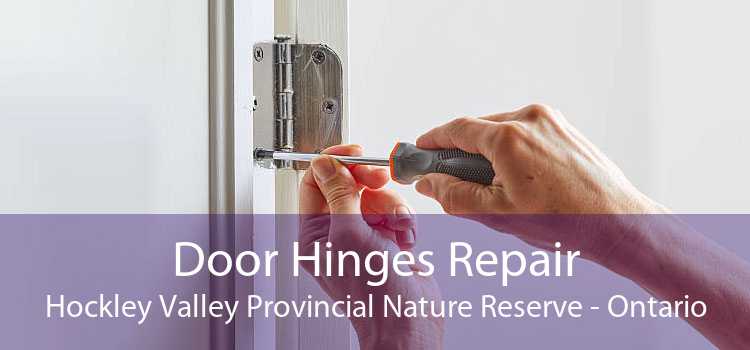 Door Hinges Repair Hockley Valley Provincial Nature Reserve - Ontario