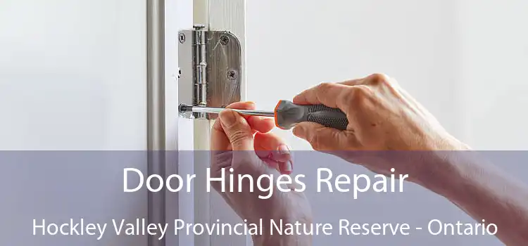 Door Hinges Repair Hockley Valley Provincial Nature Reserve - Ontario