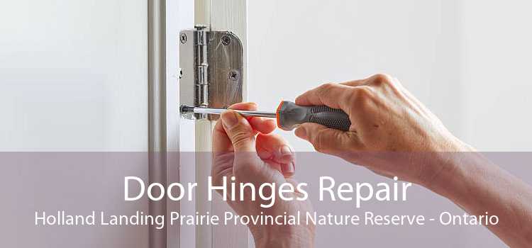 Door Hinges Repair Holland Landing Prairie Provincial Nature Reserve - Ontario