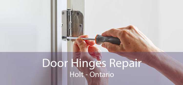 Door Hinges Repair Holt - Ontario