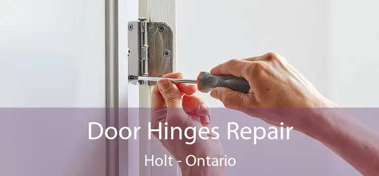 Door Hinges Repair Holt - Ontario