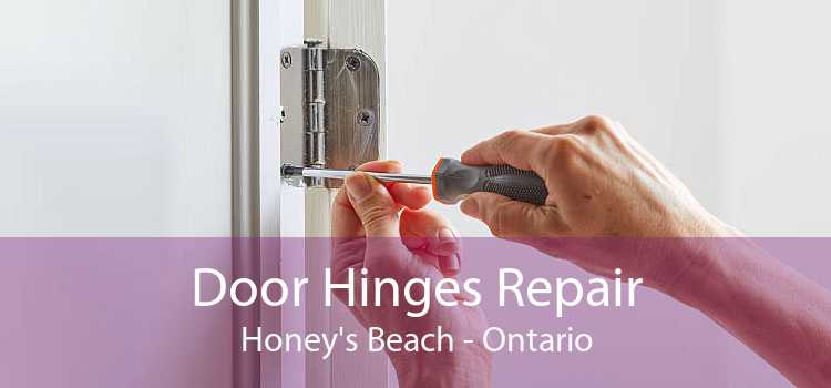Door Hinges Repair Honey's Beach - Ontario