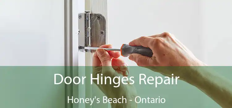 Door Hinges Repair Honey's Beach - Ontario