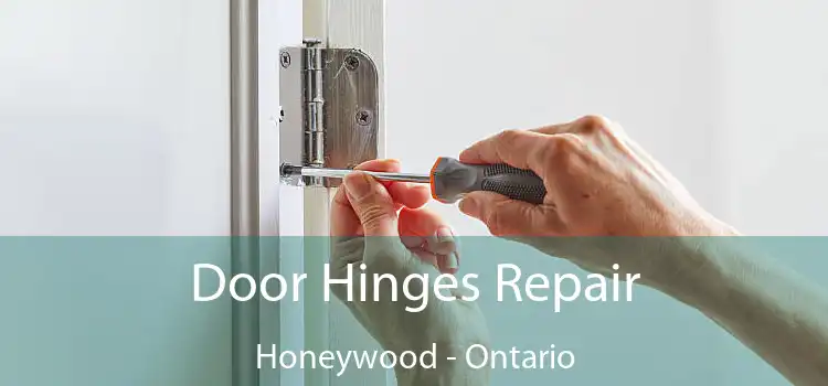 Door Hinges Repair Honeywood - Ontario