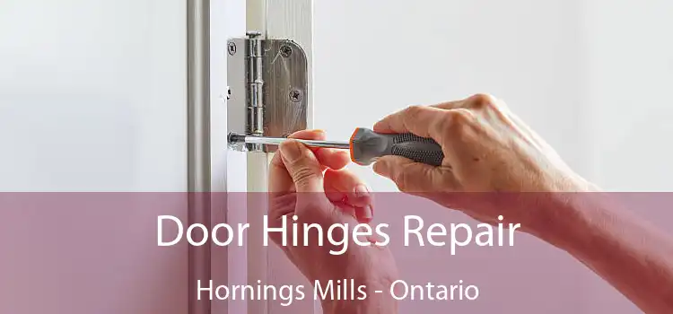 Door Hinges Repair Hornings Mills - Ontario