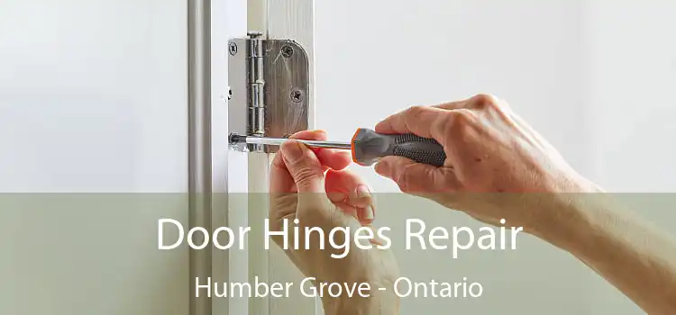 Door Hinges Repair Humber Grove - Ontario