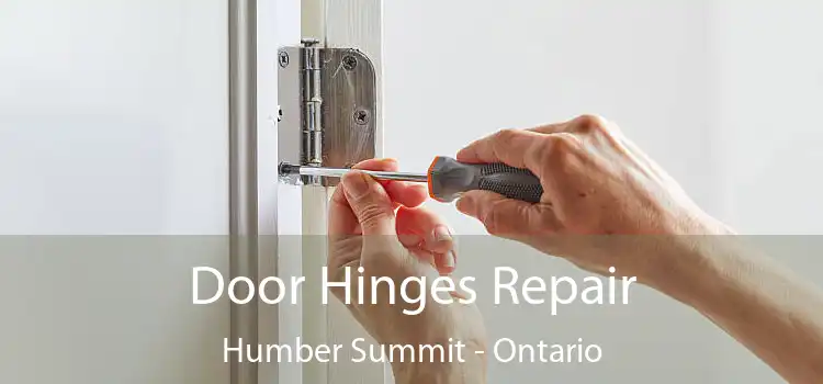 Door Hinges Repair Humber Summit - Ontario