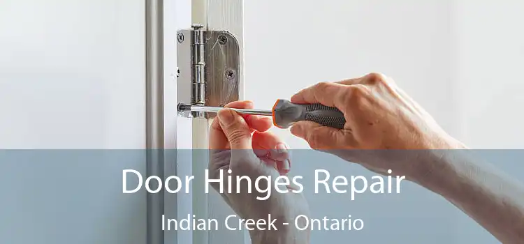 Door Hinges Repair Indian Creek - Ontario