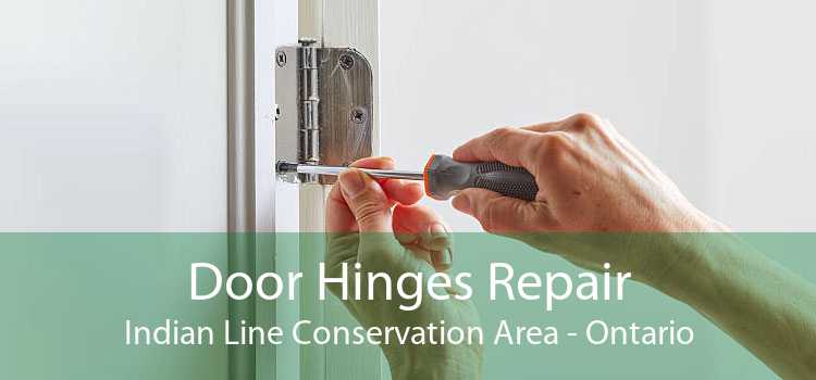 Door Hinges Repair Indian Line Conservation Area - Ontario