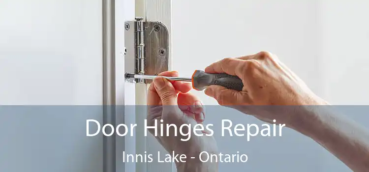 Door Hinges Repair Innis Lake - Ontario