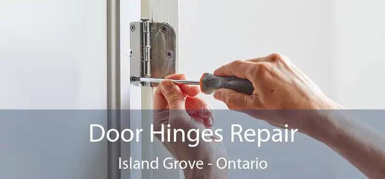 Door Hinges Repair Island Grove - Ontario