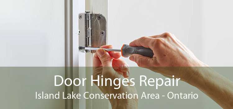Door Hinges Repair Island Lake Conservation Area - Ontario