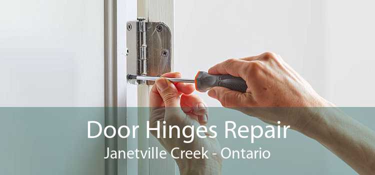 Door Hinges Repair Janetville Creek - Ontario