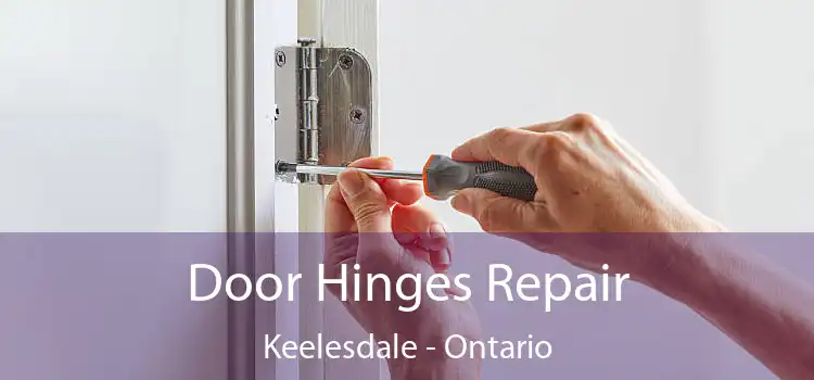 Door Hinges Repair Keelesdale - Ontario