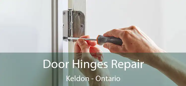 Door Hinges Repair Keldon - Ontario