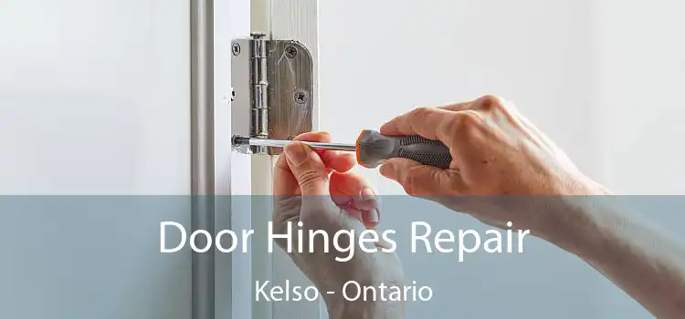 Door Hinges Repair Kelso - Ontario