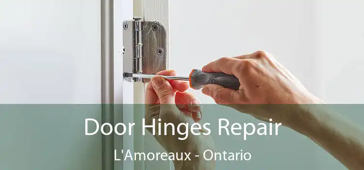 Door Hinges Repair L'Amoreaux - Ontario