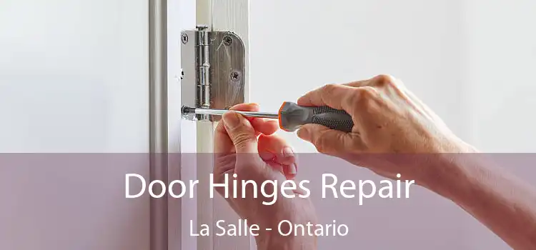Door Hinges Repair La Salle - Ontario
