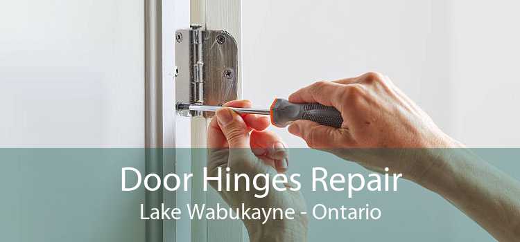 Door Hinges Repair Lake Wabukayne - Ontario