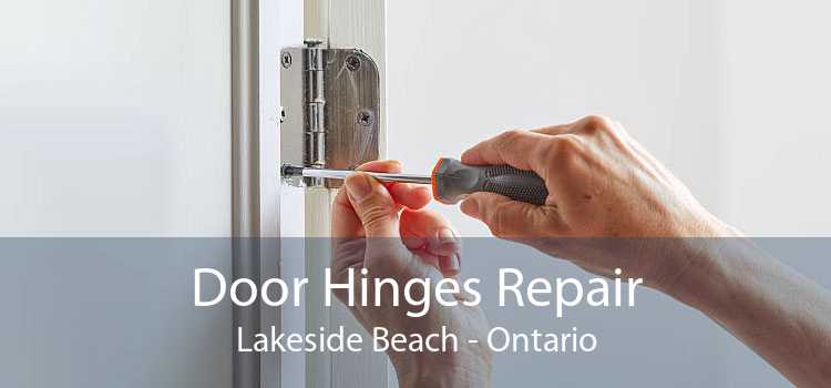 Door Hinges Repair Lakeside Beach - Ontario