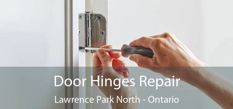 Door Hinges Repair Lawrence Park North - Ontario