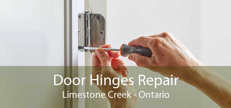 Door Hinges Repair Limestone Creek - Ontario