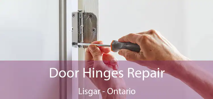 Door Hinges Repair Lisgar - Ontario