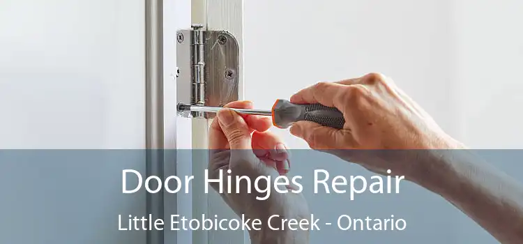 Door Hinges Repair Little Etobicoke Creek - Ontario