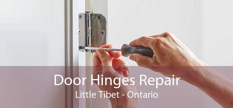 Door Hinges Repair Little Tibet - Ontario